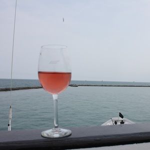 Meet your Posher, Amelia